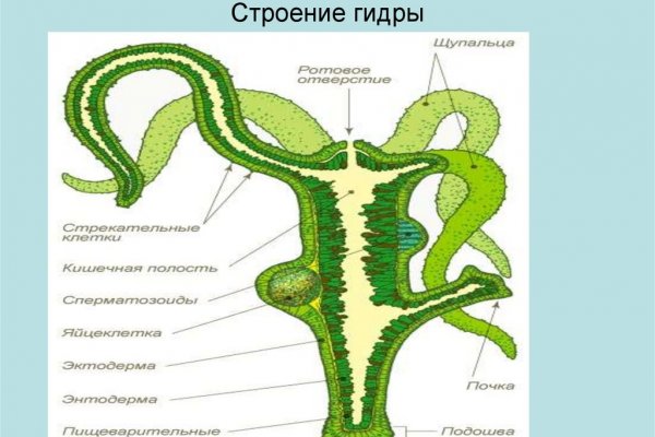 Onion сайт кракен